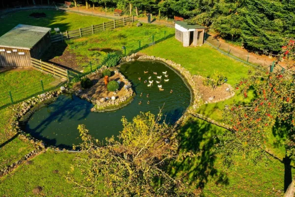 Friesenhaus Dellbrück_Bilder Webseite_Bewohner_1920x1080-aussenbereich